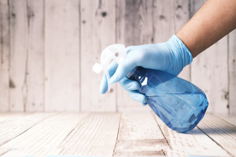 Pest control professional