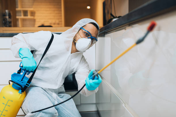 Pest control technician at work